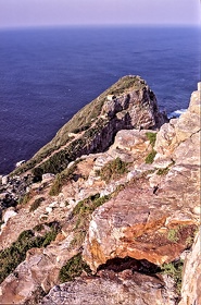 AFRIQUE DU SUD