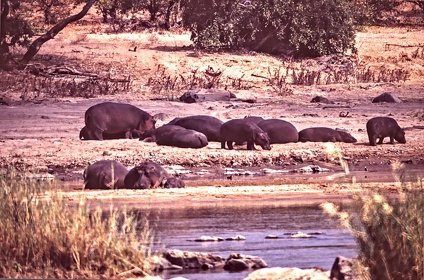 AFRIQUE DU SUD