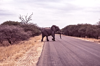 AFRIQUE DU SUD