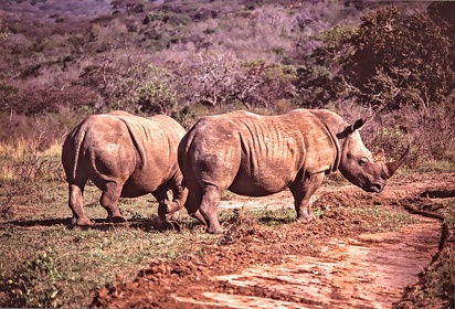 AFRIQUE DU SUD