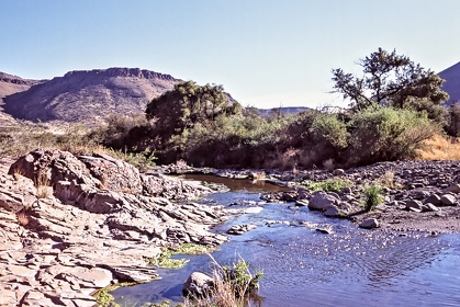 AFRIQUE DU SUD