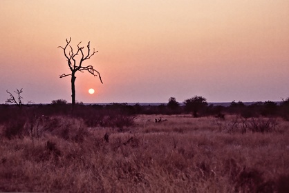 AFRIQUE DU SUD