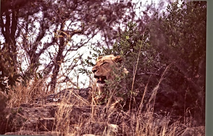 AFRIQUE DU SUD