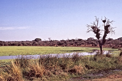 AFRIQUE DU SUD