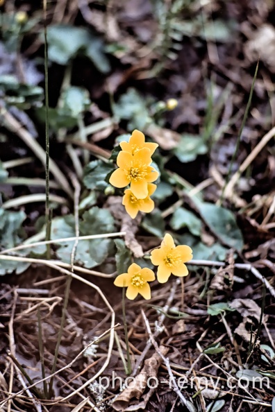FRA19-1975-Corrèze.jpg