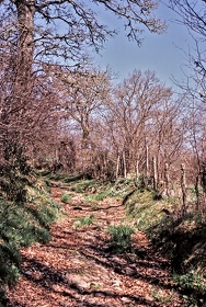 FRA19 - Corrèze