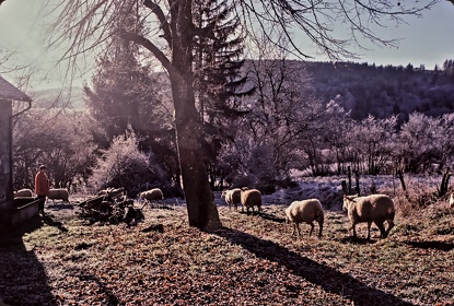 FRA19 - Corrèze