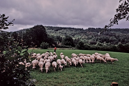 FRA19 - Corrèze