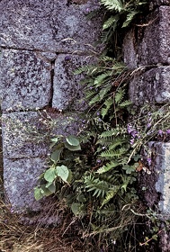 FRA19 - Corrèze
