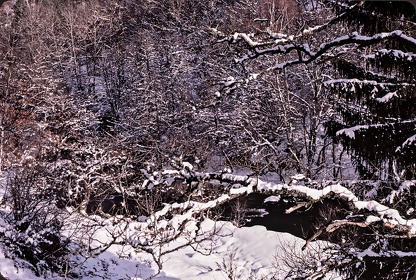 FRA19 - Corrèze