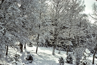 FRA19 - Corrèze