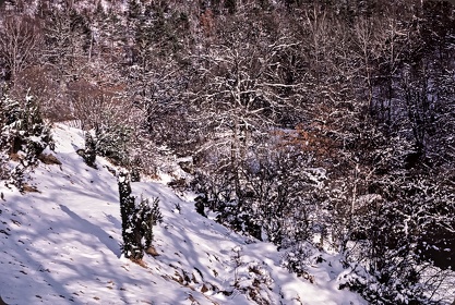 FRA19 - Corrèze