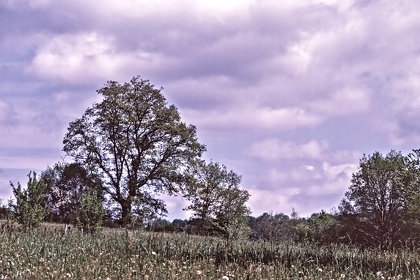 FRA19 - Corrèze