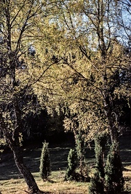 FRA19 - Corrèze
