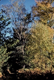 FRA19 - Corrèze