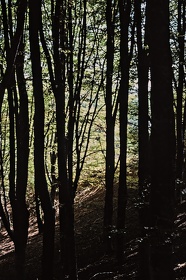 FRA19 - Corrèze