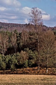 FRA19 - Corrèze