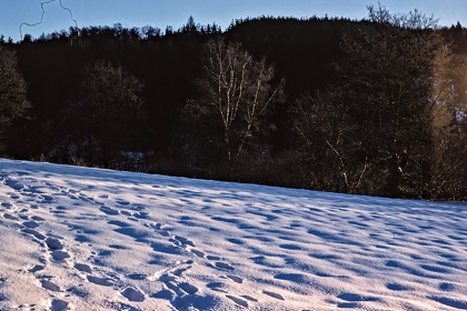FRA19 - Corrèze