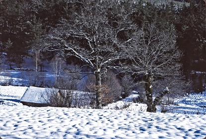 FRA19 - Corrèze