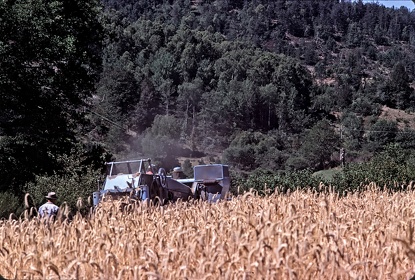 FRA19 - Corrèze