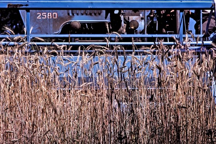 FRA19 - Corrèze