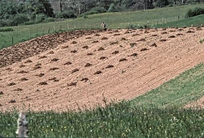 FRA19 - Corrèze