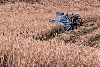 FRA19 - Corrèze