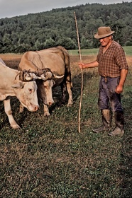 FRA19 - Corrèze