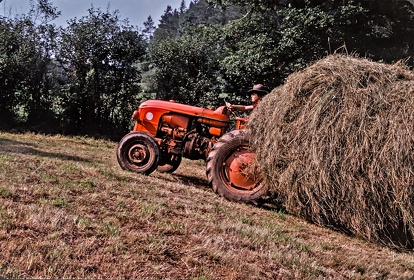 FRA19 - Corrèze