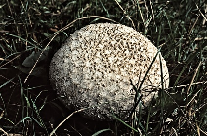 FRA19 - Corrèze