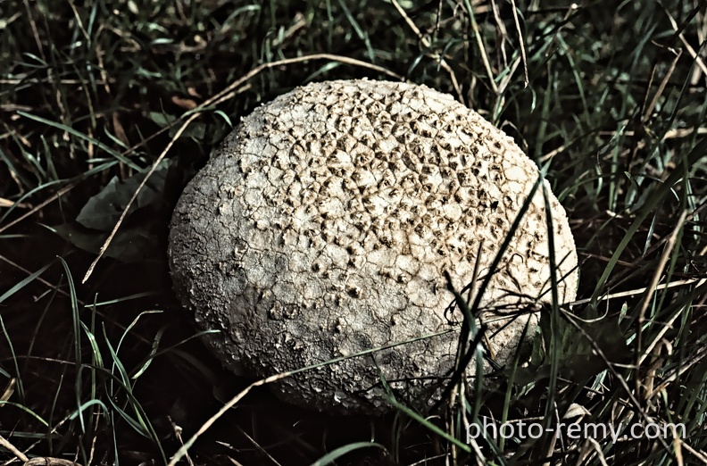 FRA19-0806-Corrèze.jpg