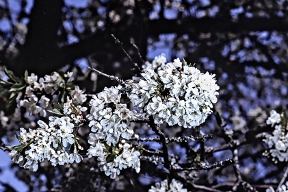 FRA19 - Corrèze