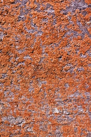 FRA19 - Corrèze